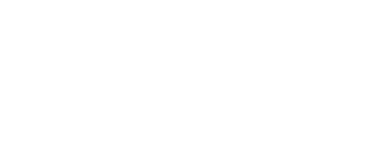 Boss logo